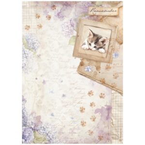 Papel de arroz A4 - Gatito - Quiet Days