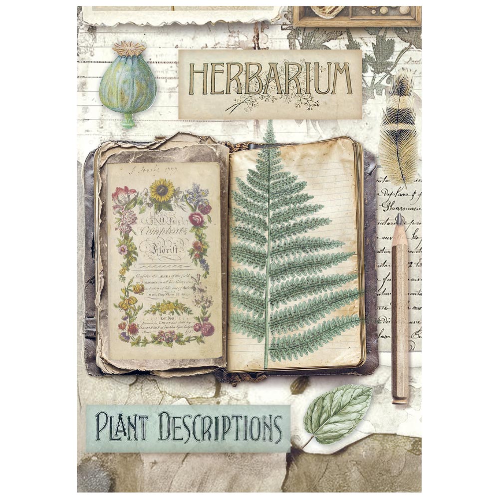 Mini Papeles de Arroz A6 8 hojas – Herbarium Silvae - Imagen 7