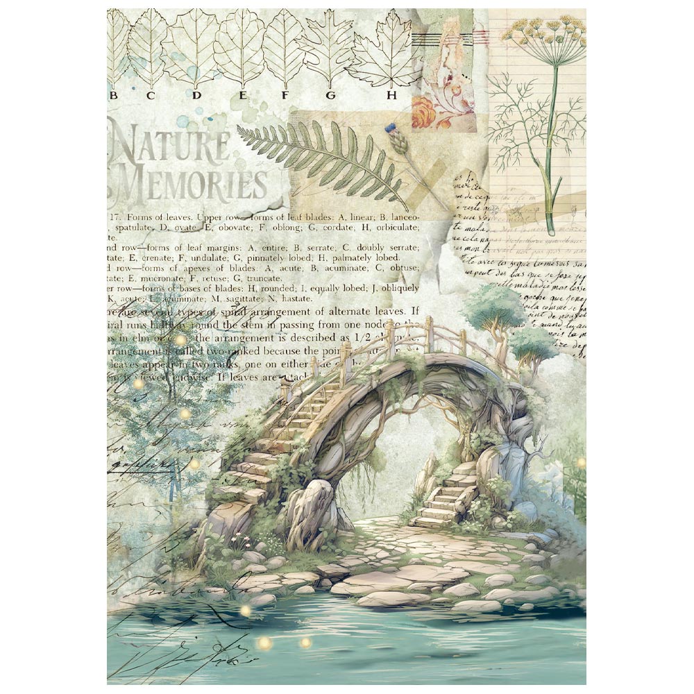 Mini Papeles de Arroz A6 8 hojas – Herbarium Silvae - Imagen 9